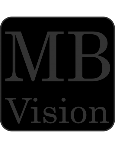 MB Vision Platin · Foto-Shooting · Diskret und Privat